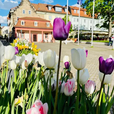 Baerliner Hotel Erfurt