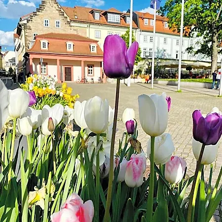Baerliner Hotel Erfurt