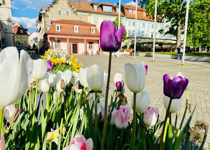 Bärliner Hotel Erfurt